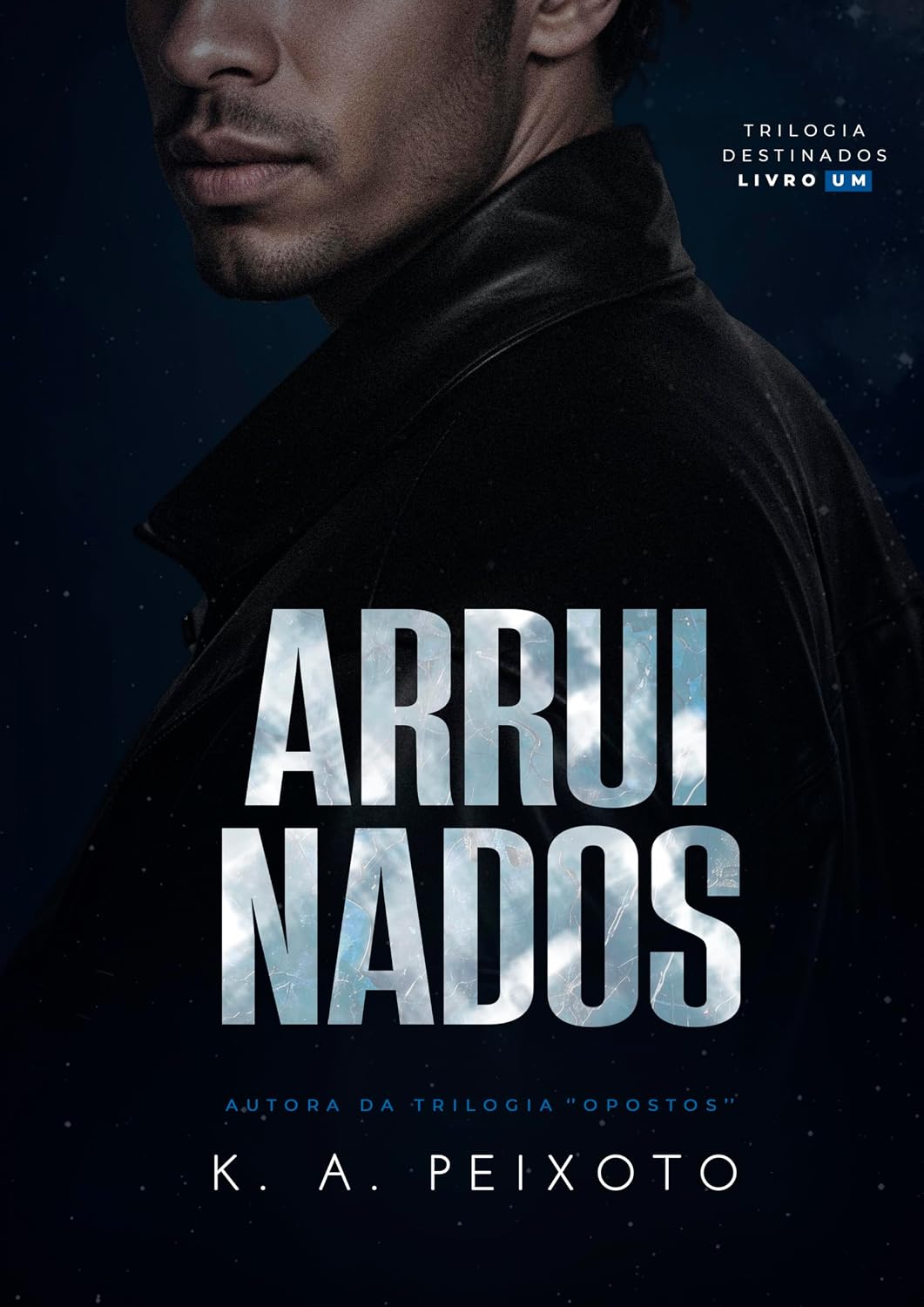 ler totalmente Arruinados (Destinados Livro 1)