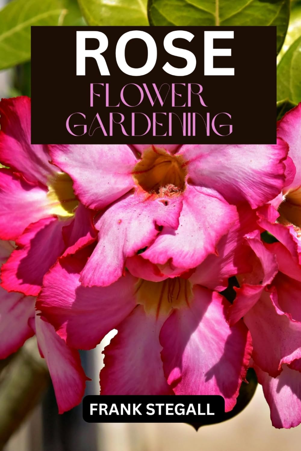 ROSE FLOWER GARDENING: STEP BY STEP BEGINNERS GUIDE TO GROWING, CARING AND HARVESTING baixar livro de graça
