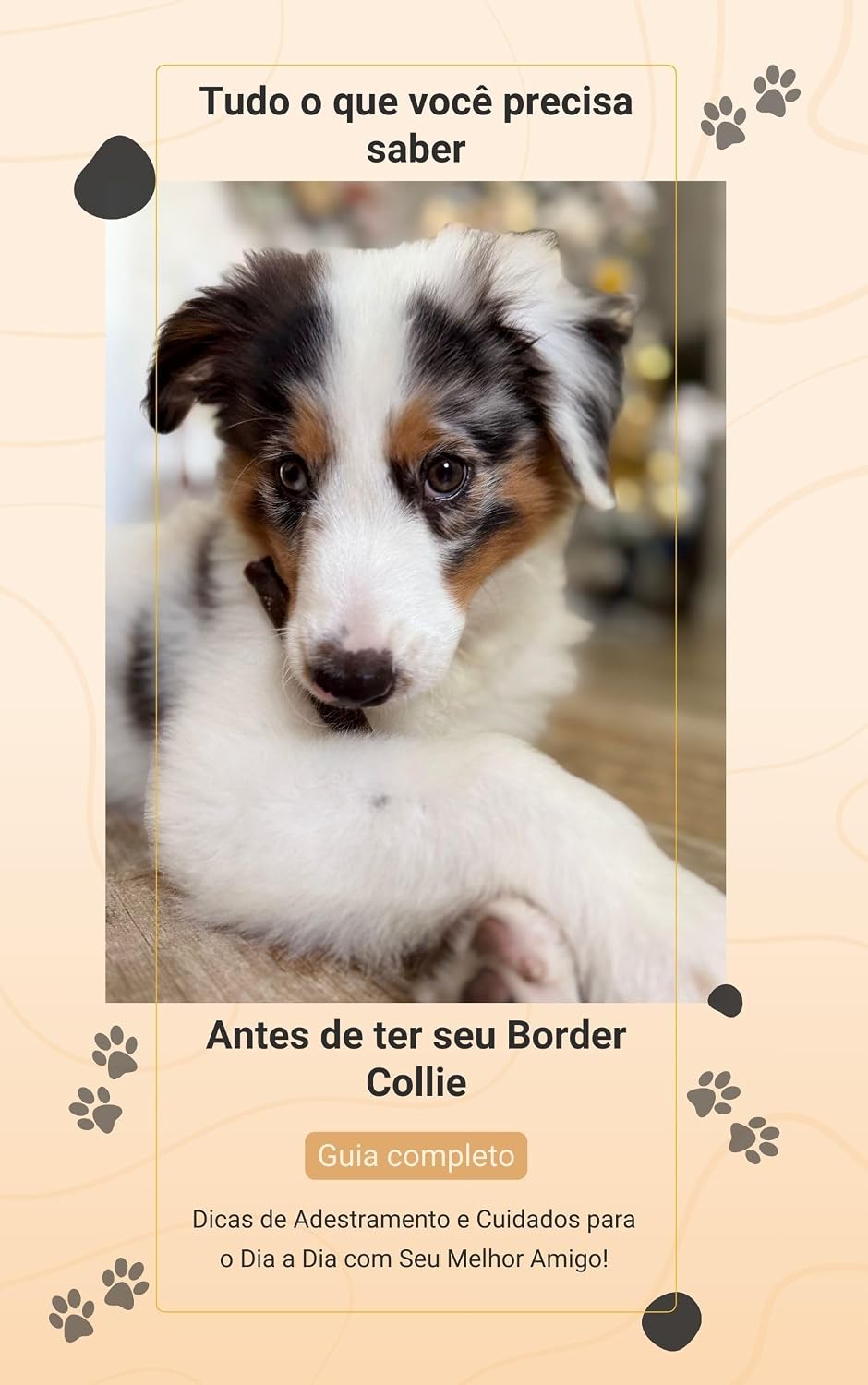 Tudo o que você precisa saber antes de ter seu Border Collie baixar livro de graça