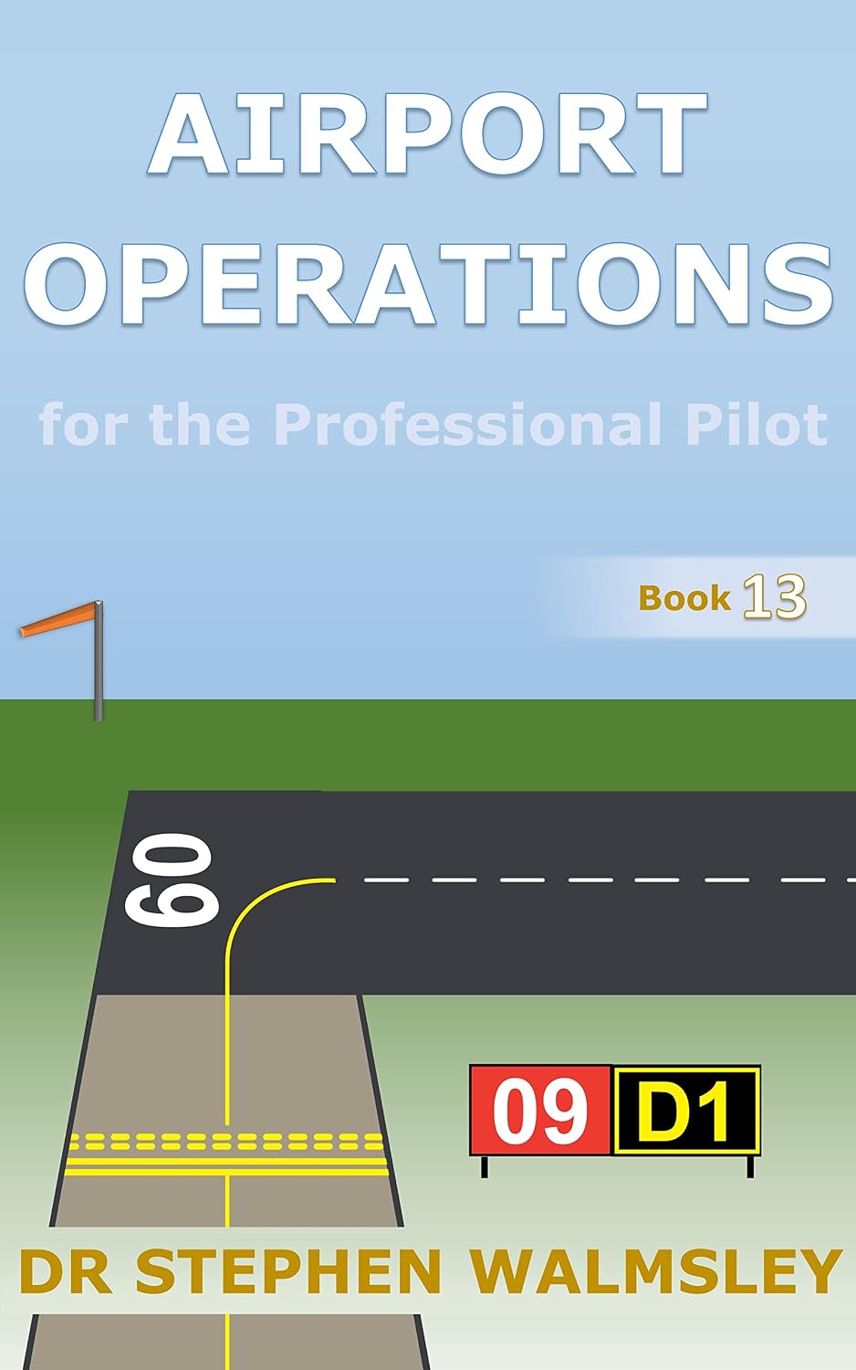Airport Operations for the Professional Pilot (Aviation Books Professional Pilot Series) (English Edition) baixar o livro de graça