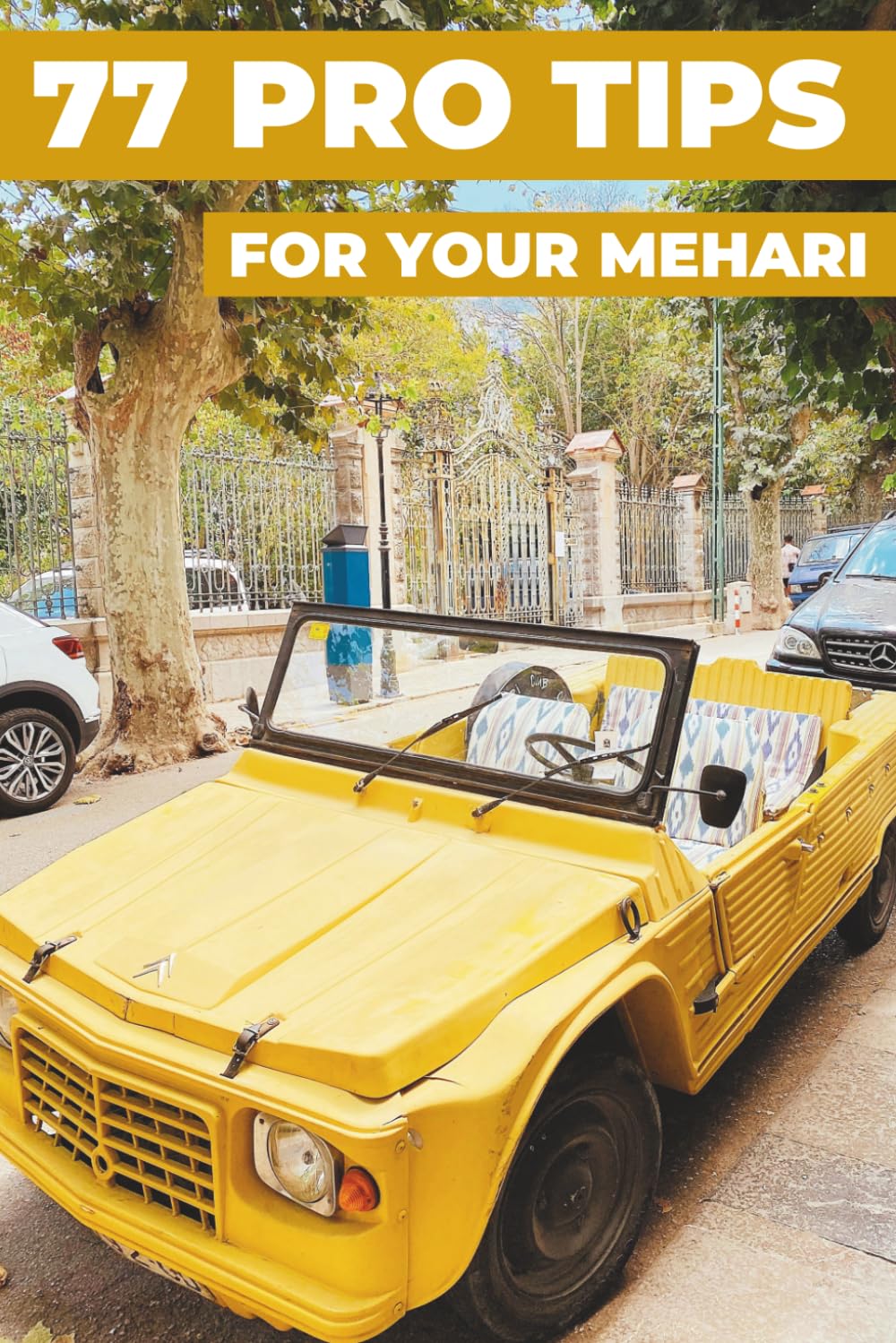 77 PRO TIPS FOR YOUR MEHARI: “The best-kept secrets” baixar livro de graça