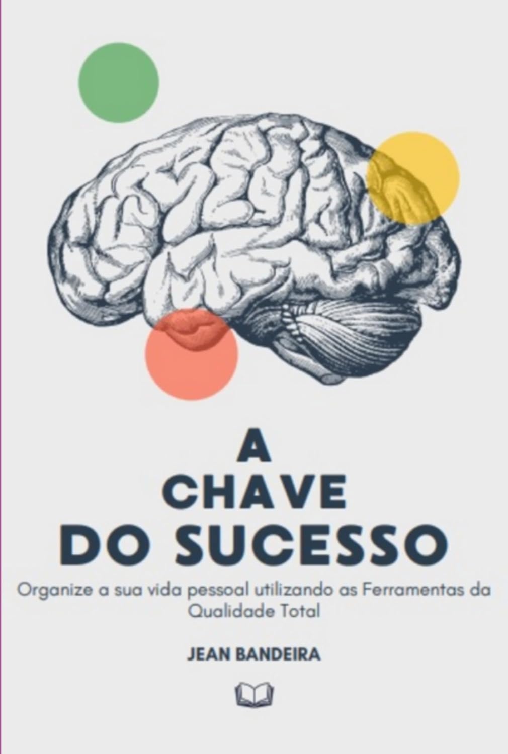 A Chave Do Sucesso baixar livro de graça