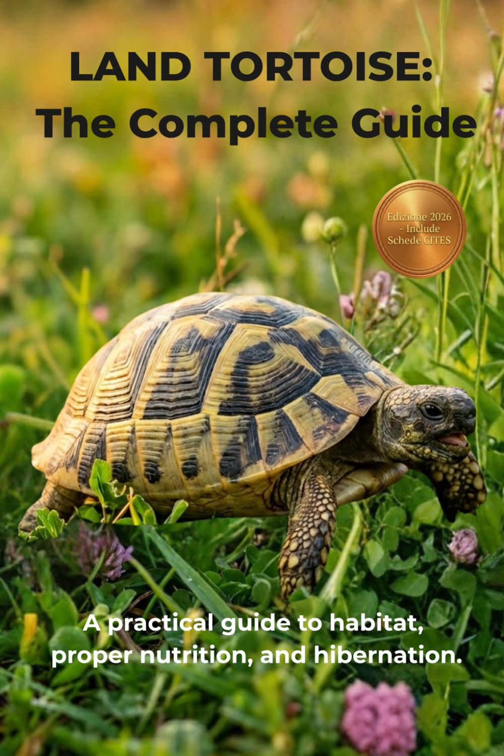 ler totalmente LAND TORTOISE: The Complete Guide: A practical guide to habitat, proper nutrition, and hibernation.