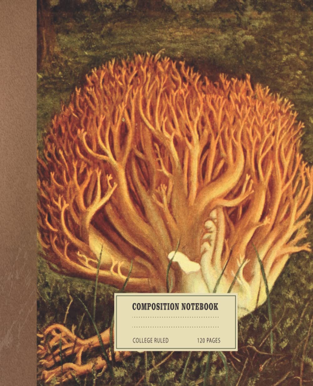 Composition Notebook: Beautiful Vintage Mushrooms Illustration. College Ruled, 120 Pages, 7.5" x 9.25": The perfect composition notebook for writers... for vintage mushrooms illustrations baixar livro de graça