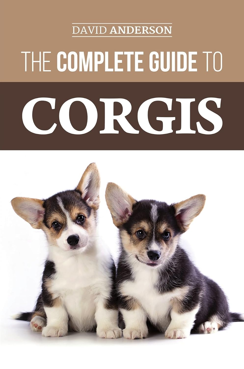 The Complete Guide to Corgis: Everything to know about both the Pembroke Welsh and Cardigan Welsh Corgi dog breeds (English Edition) baixar livro de graça