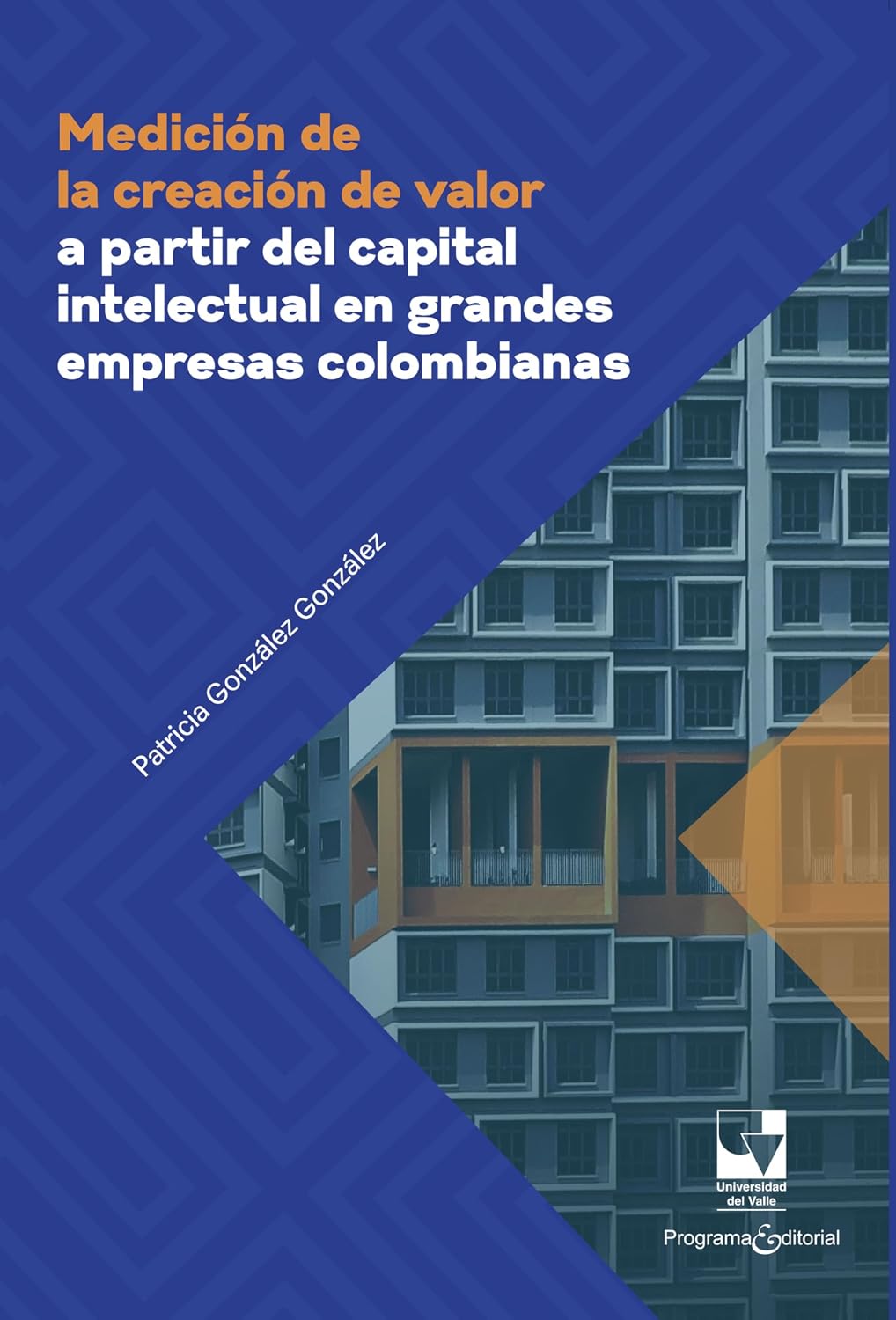 capítulo por capítulo baixar Medición de la creación de valor a partir del capital intelectual en grandes empresas colombianas (Spanish Edition)