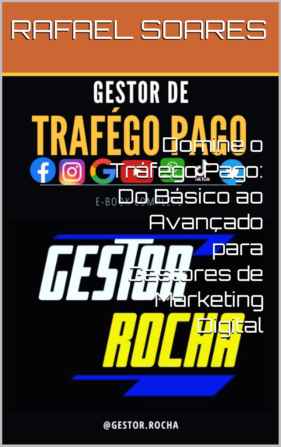 capítulo por capítulo baixar Domine o Tráfego Pago: Do Básico ao Avançado para Gestores de Marketing Digital
