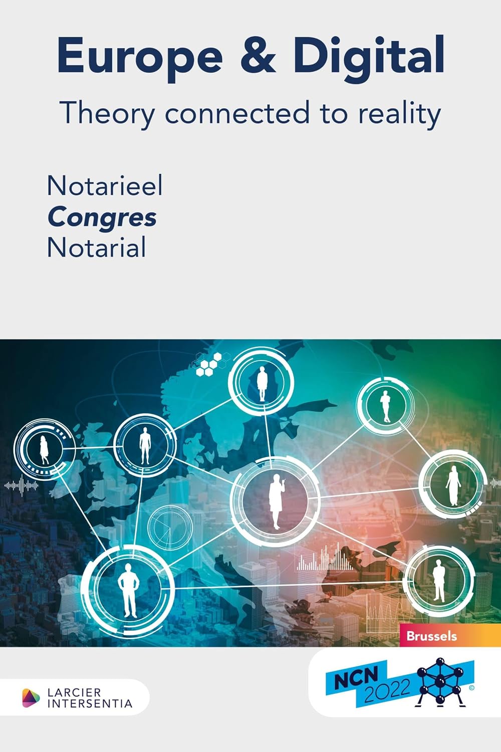Europe & Digital: Theory connected to reality (HORS COLL. (HORS OP LARC. FR)) (French Edition) baixar livro de graça