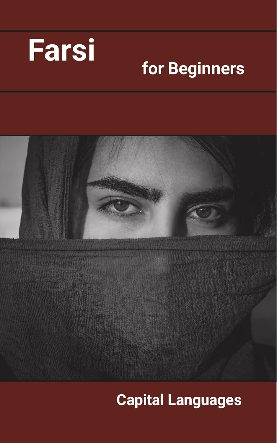 Farsi for Beginners (Minority Languages and Dialects Book 11) (English Edition) baixar o livro de graça