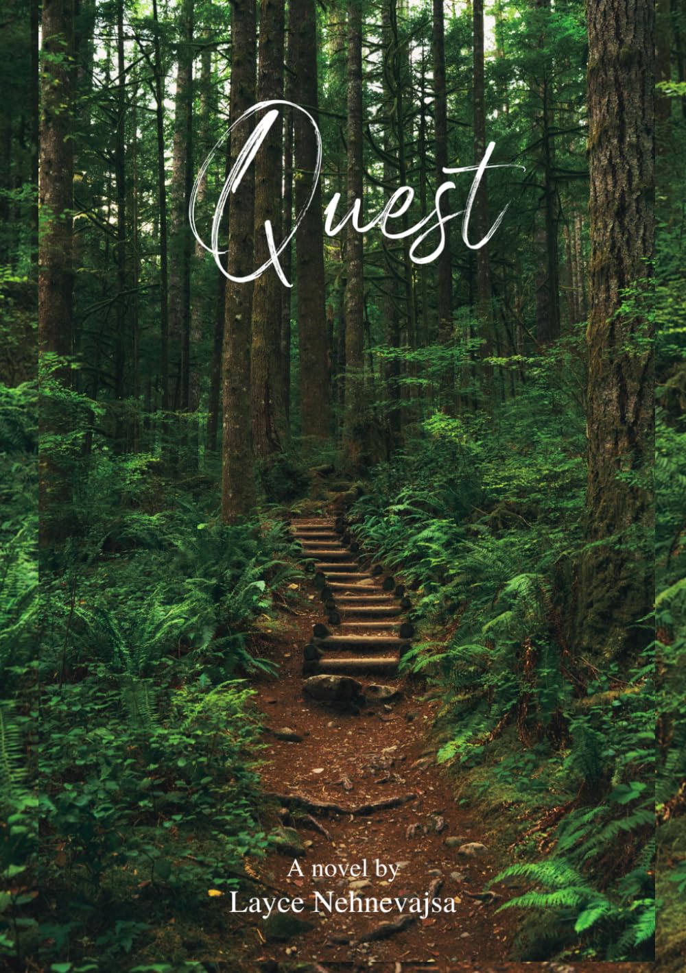 capítulo por capítulo baixar Quest: A Novel
