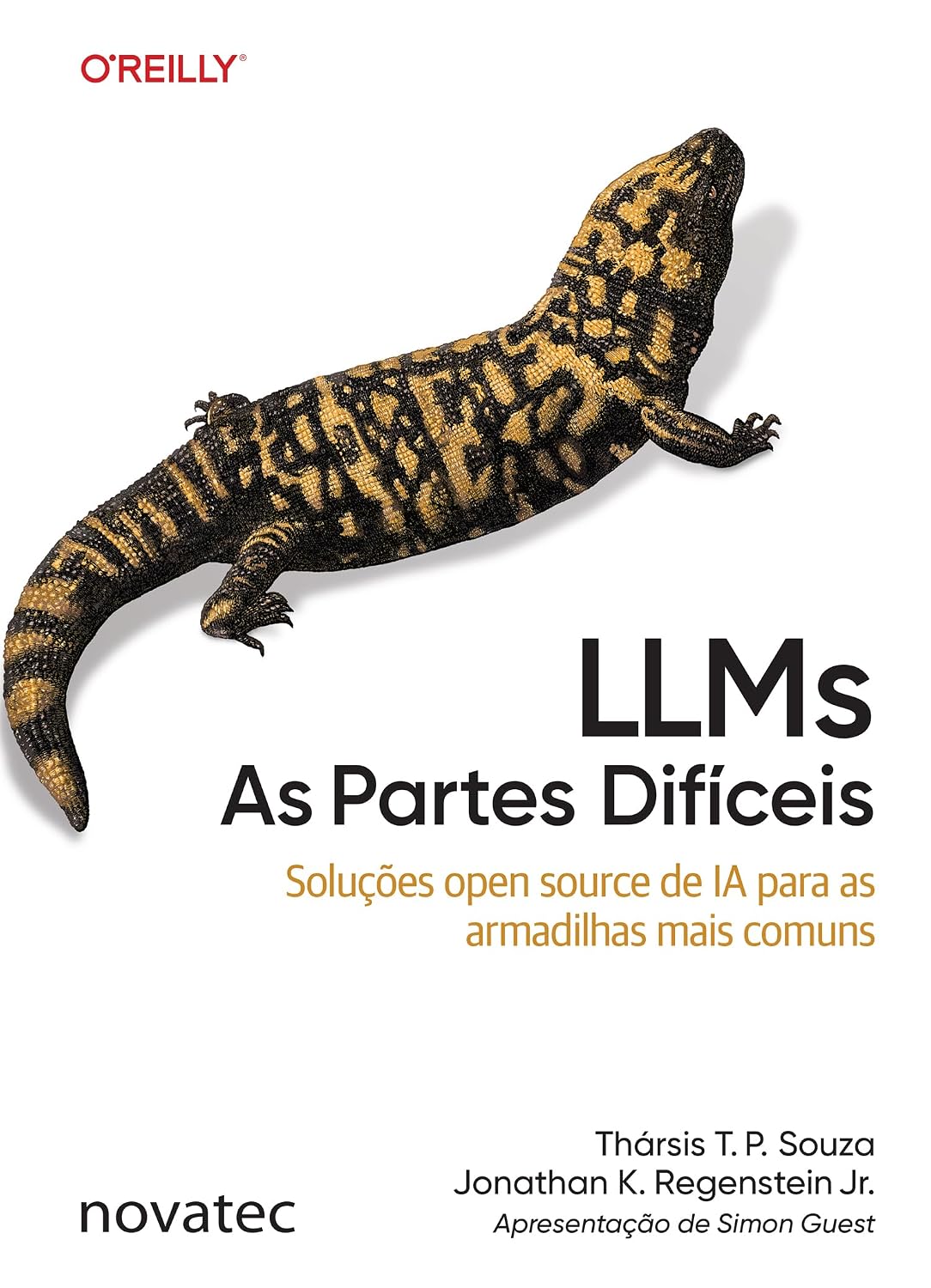LLMs – As Partes Difíceis: Soluções open source de IA para as armadilhas mais comuns baixar o livro de graça