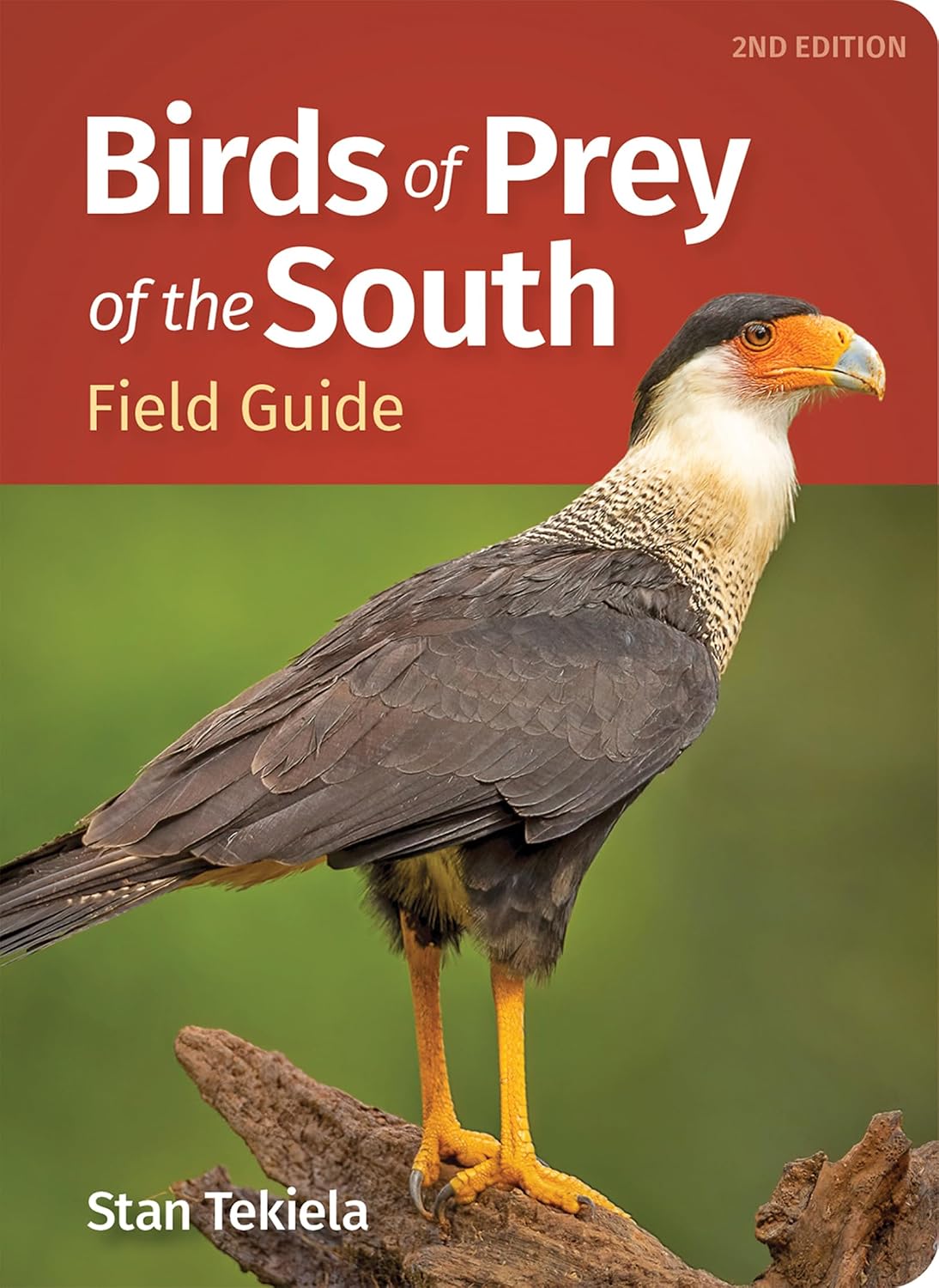 Birds of Prey of the South Field Guide (Bird Identification Guides) (English Edition) baixar o livro de graça