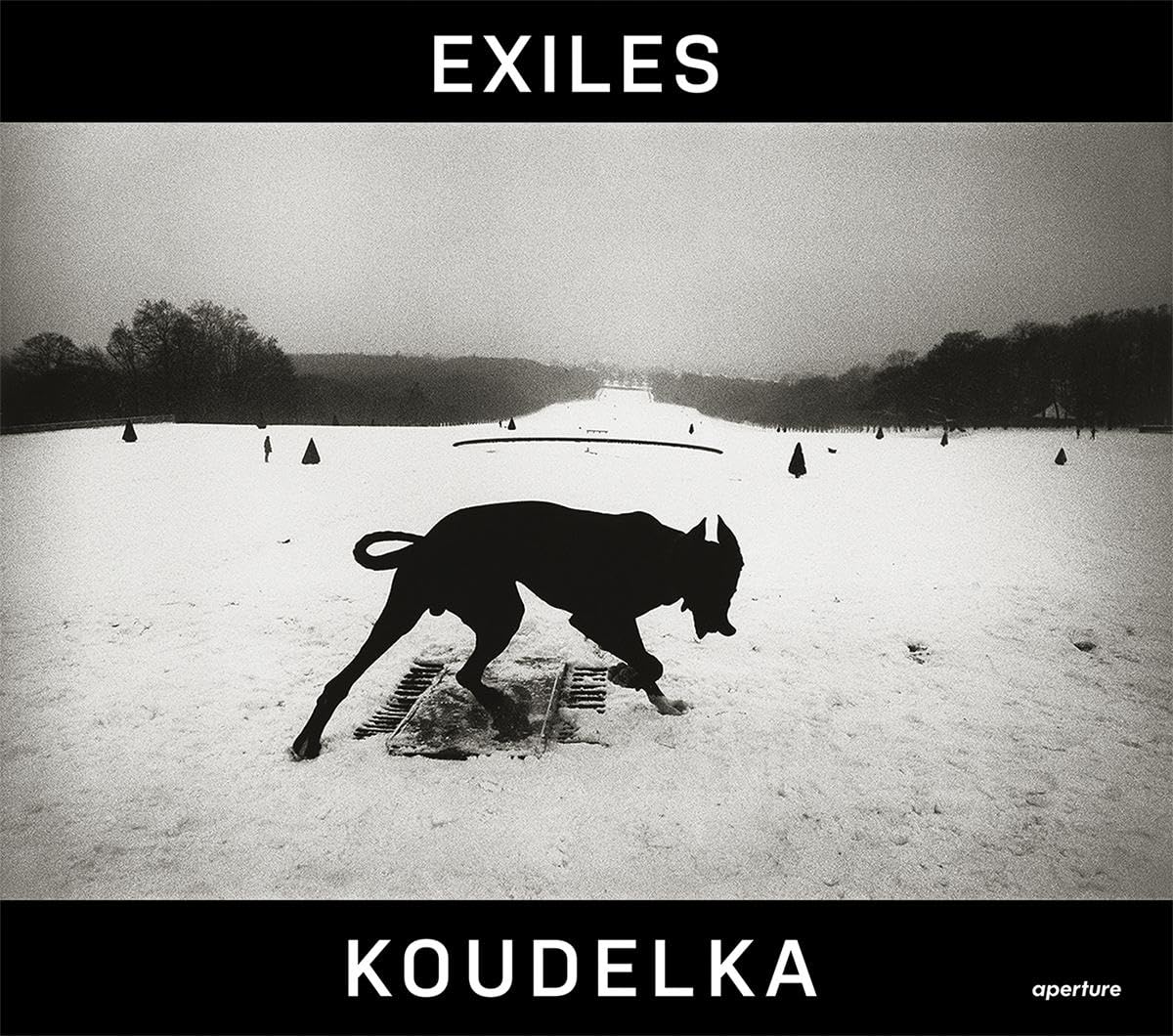 ler totalmente Josef Koudelka: Exiles