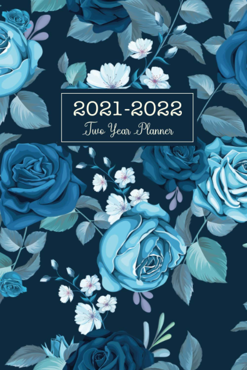 2021-2022 Two Year Planner: 2 Year Monthly Calendar Appointment Planner 6x9, 24 Months Agenda Schedule Organizer with Holiday Jan 2021 - Dec 2022 | Blue Flower Cover baixar o livro de graça