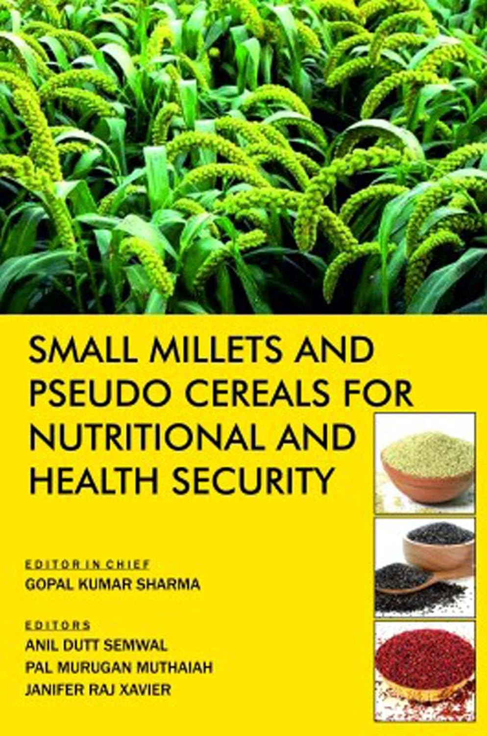 Small Millets and Pseudo Cereals for Nutritional and Health Security baixar livro de graça