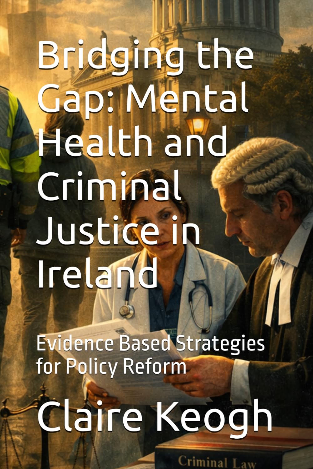 Bridging the Gap: Mental Health and Criminal Justice in Ireland: Evidence Based Strategies for Policy Reform baixar livro de graça