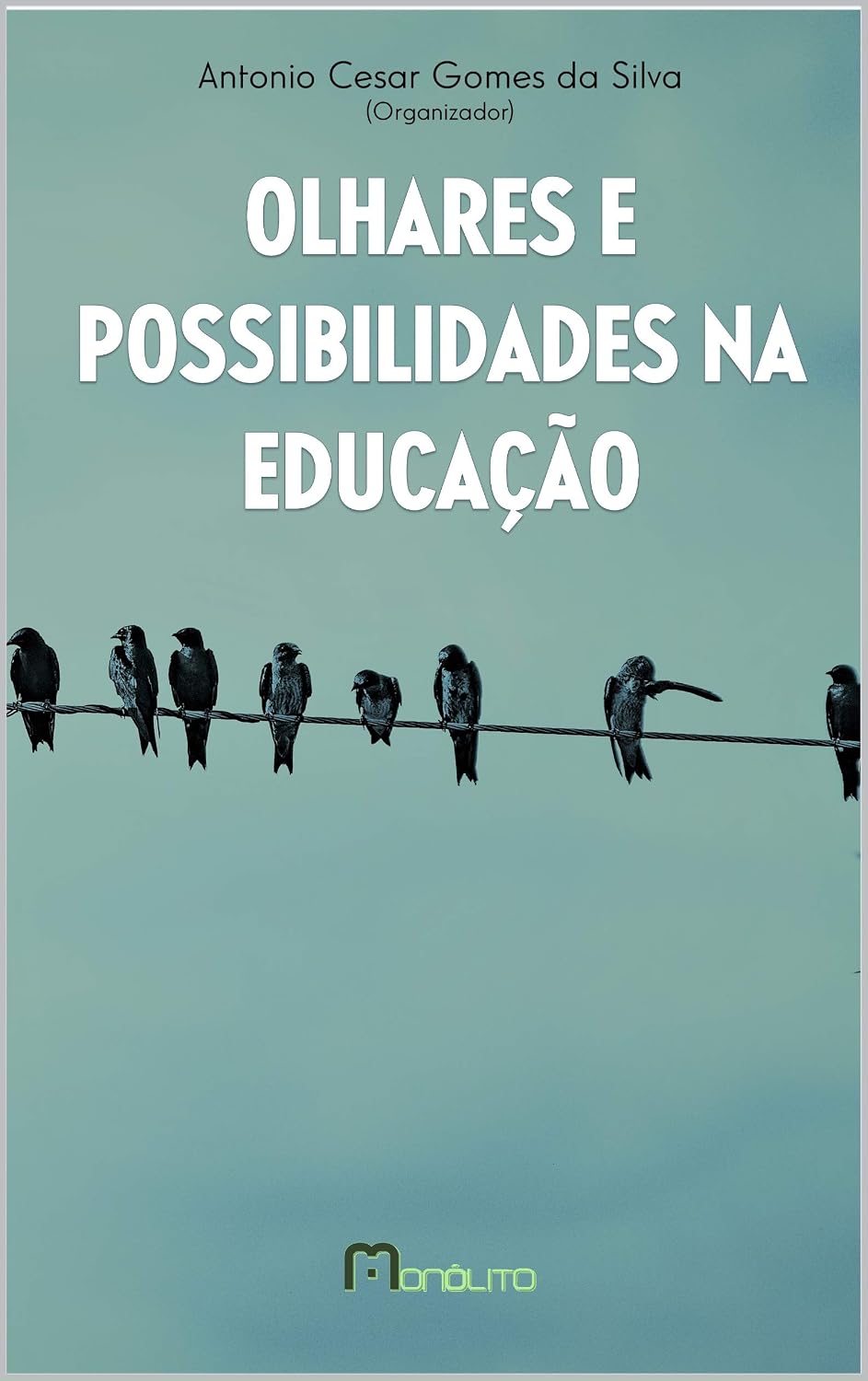capítulo por capítulo baixar Olhares e possibilidades na educação