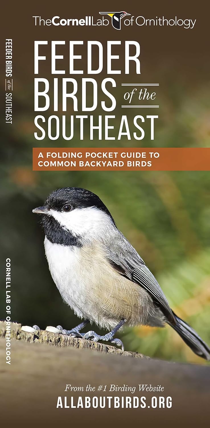 Feeder Birds of the Southeast: A Folding Pocket Guide to Common Backyard Birds baixar livro de graça
