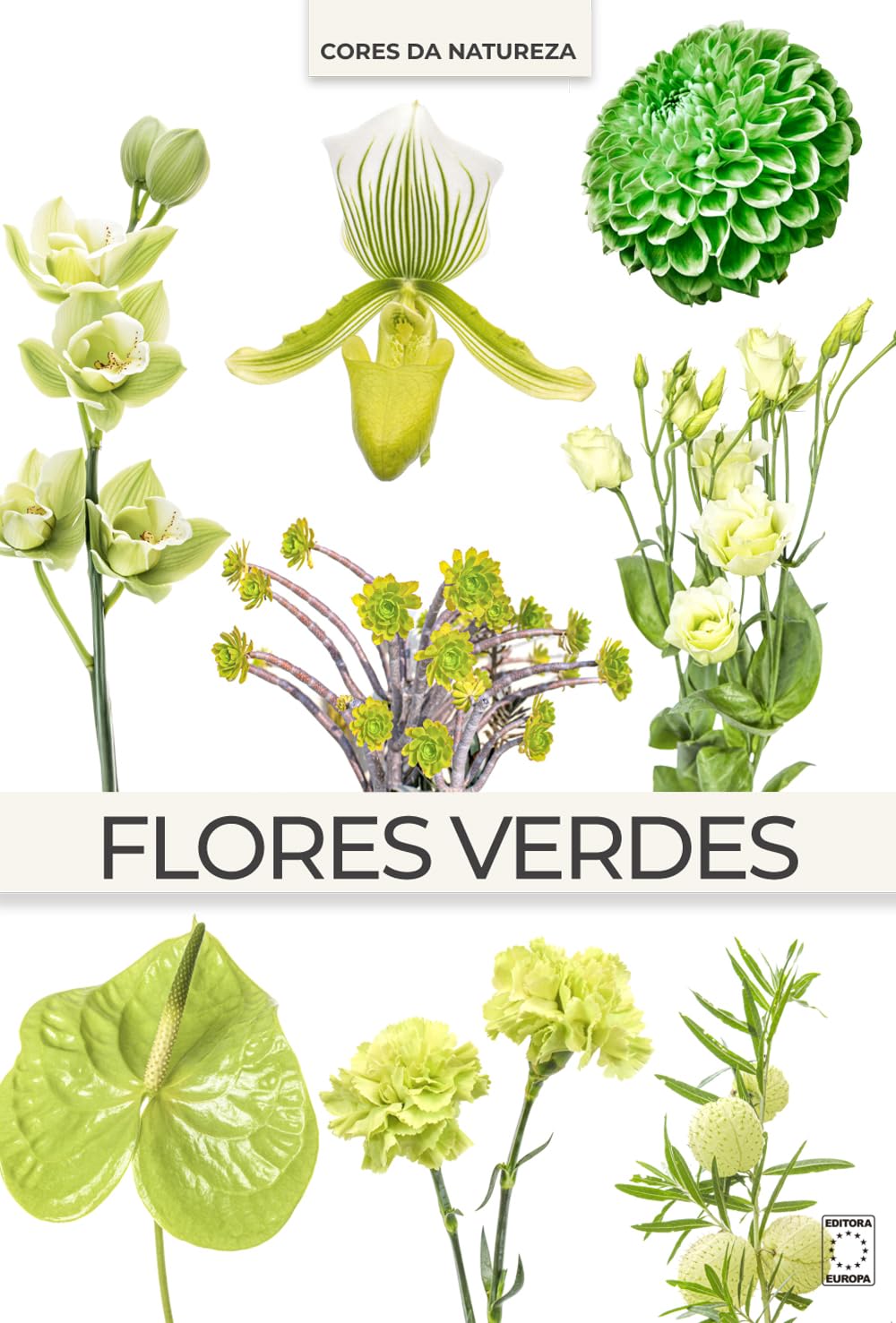 Coleção Cores da Natureza - Flores Verdes baixar o livro de graça