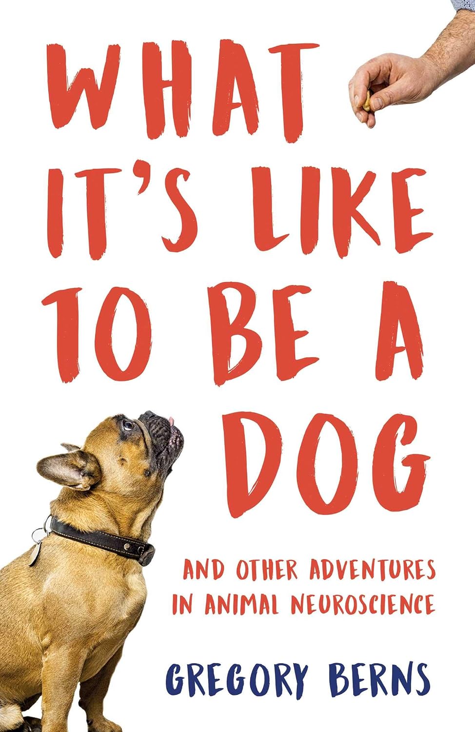 What It's Like to Be a Dog: And Other Adventures in Animal Neuroscience (English Edition) baixar o livro de graça