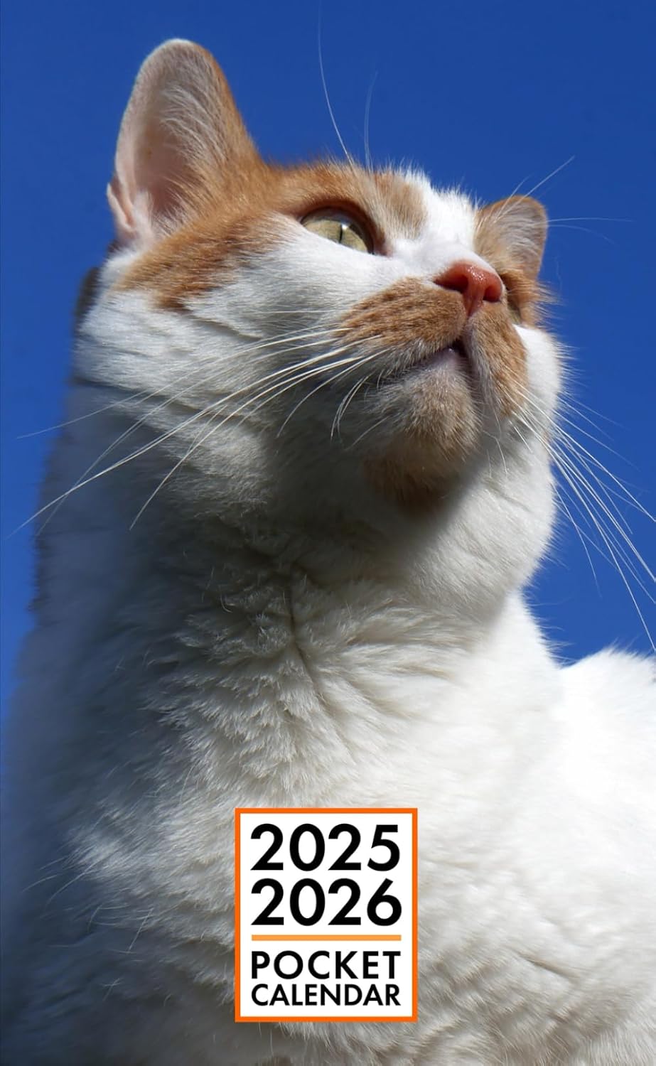 Pocket Calendar 2025-2026 for Purse - Parys Cat v2 | 2 Year Pocket Planner January 2025 - December 2026 | Small Pocket Size 4 x 6.5 | Sketches of Cats in the Middle baixar o livro de graça