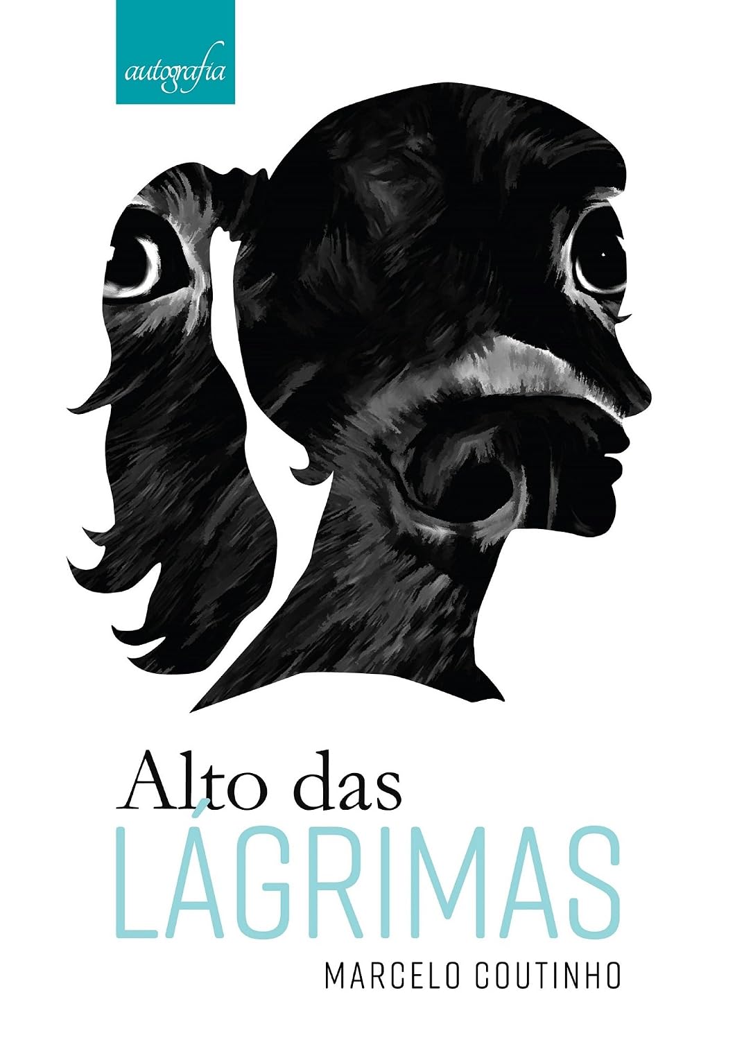 Alto das lágrimas baixar o livro de graça