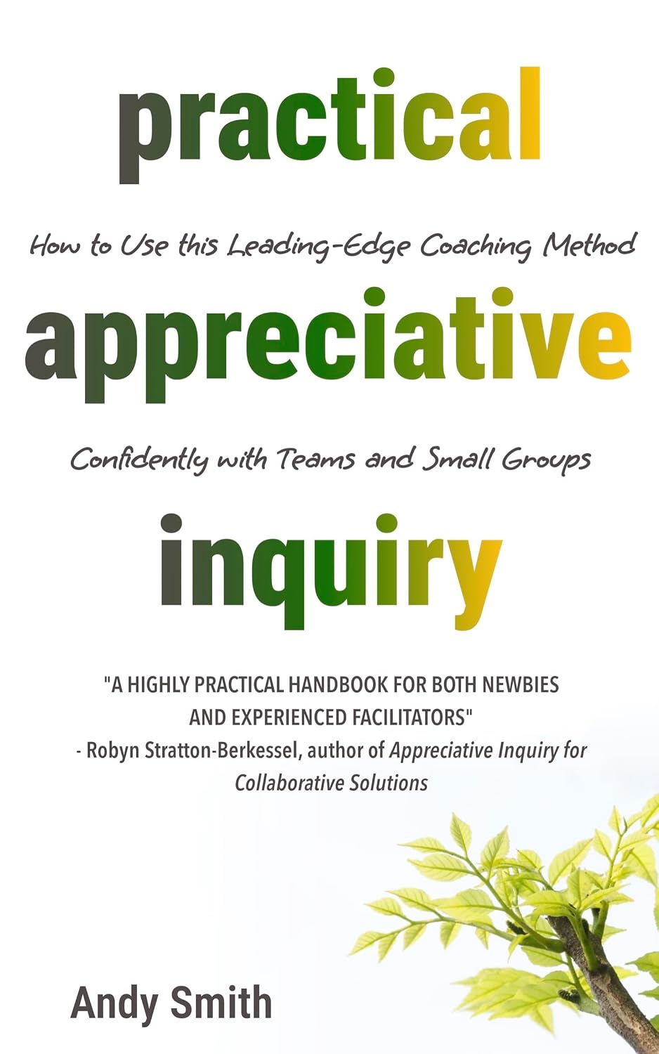 ler totalmente Practical Appreciative Inquiry: How to Use This Leading-Edge Coaching Method Confidently with Teams and Small Groups (English Edition)