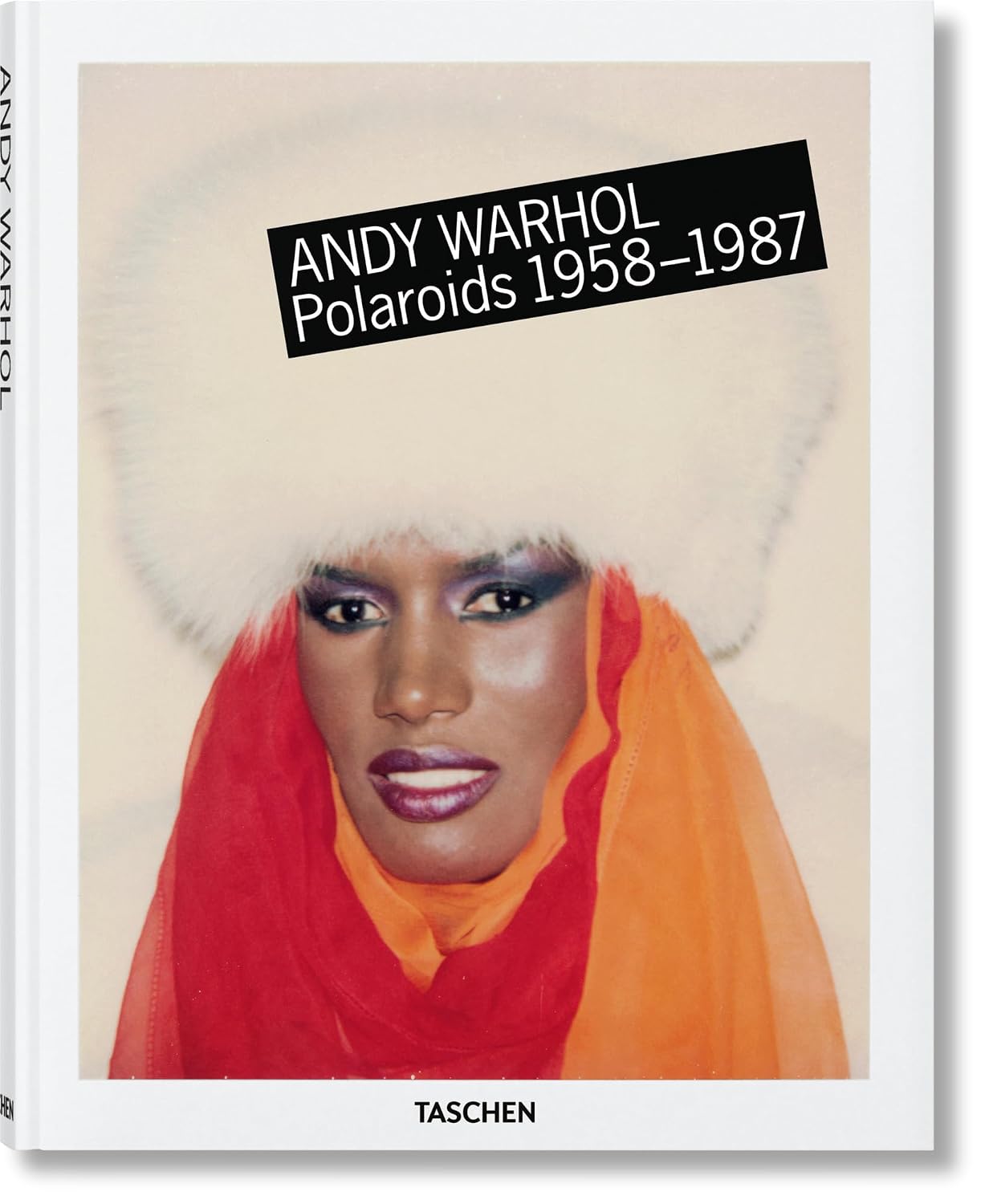 ler totalmente Andy Warhol polaroids 1958 - 1987