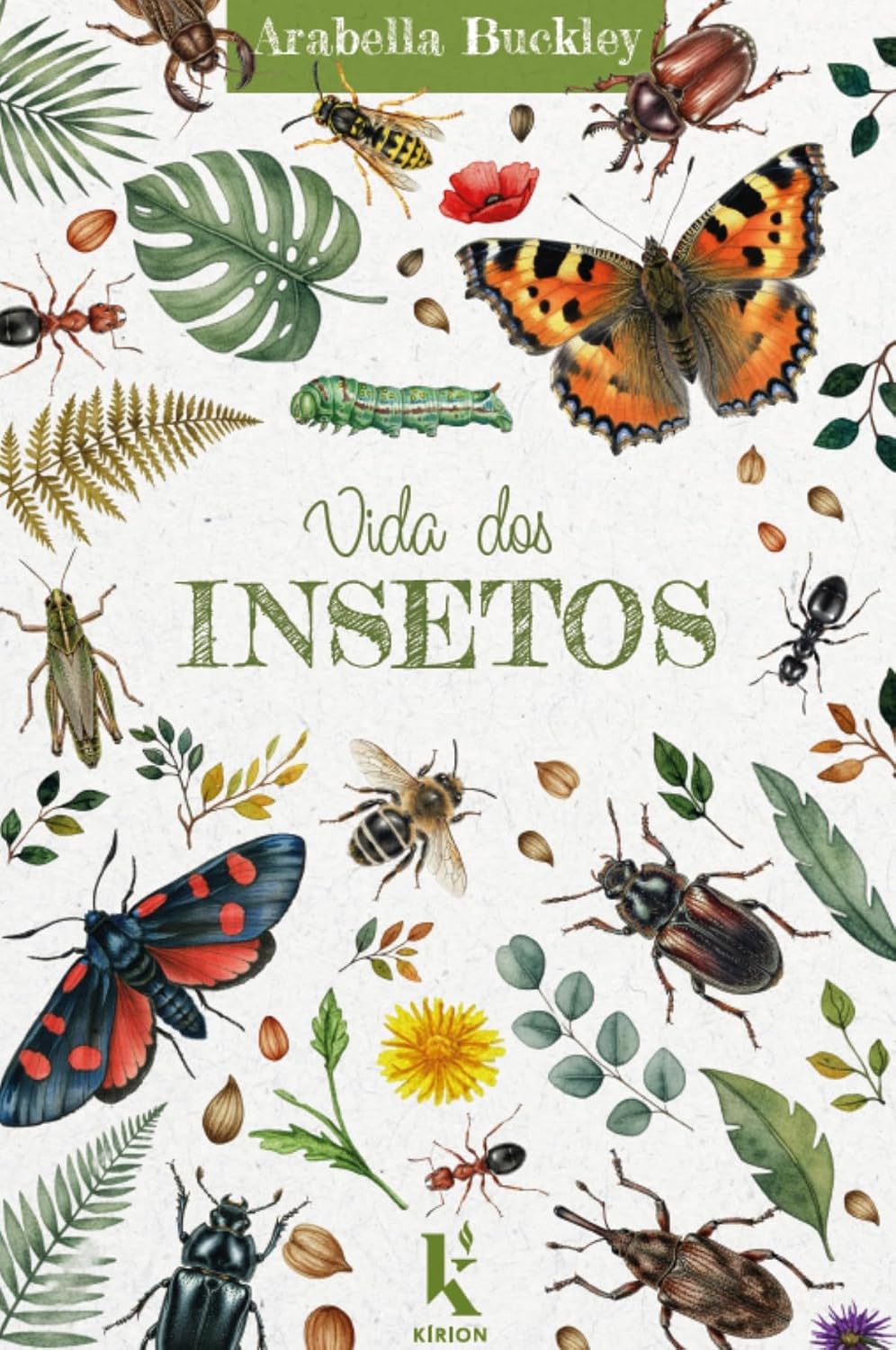 capítulo por capítulo baixar Vida dos insetos