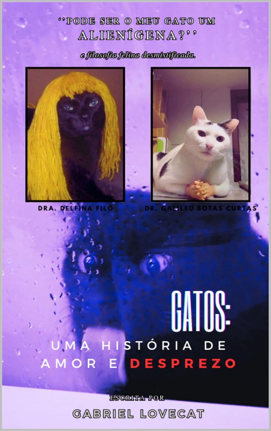ler totalmente Gatos: uma história de amor e desprezo: A filosofia felina desmistificada