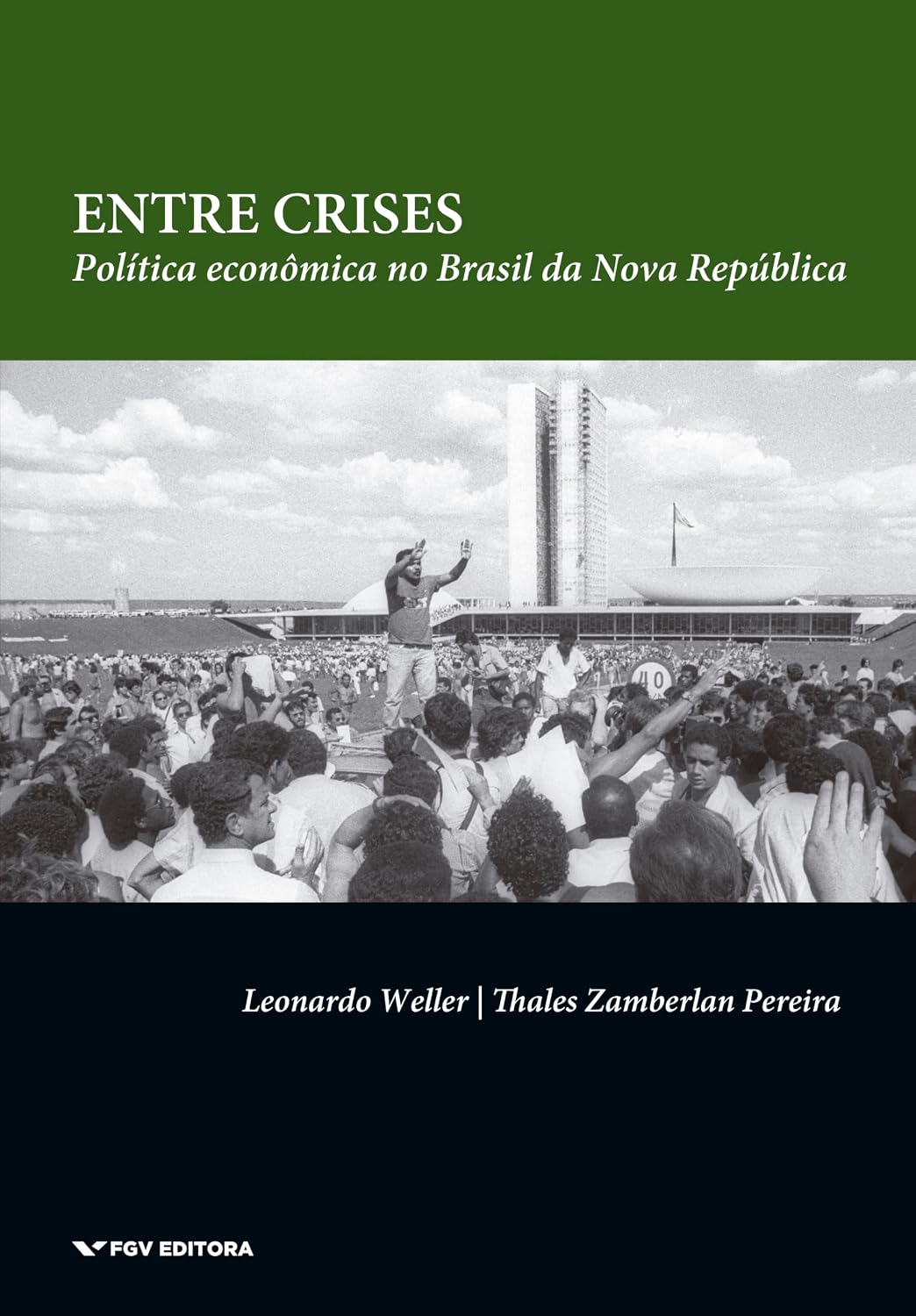 capítulo por capítulo baixar Entre crises: política econômica no Brasil da Nova República