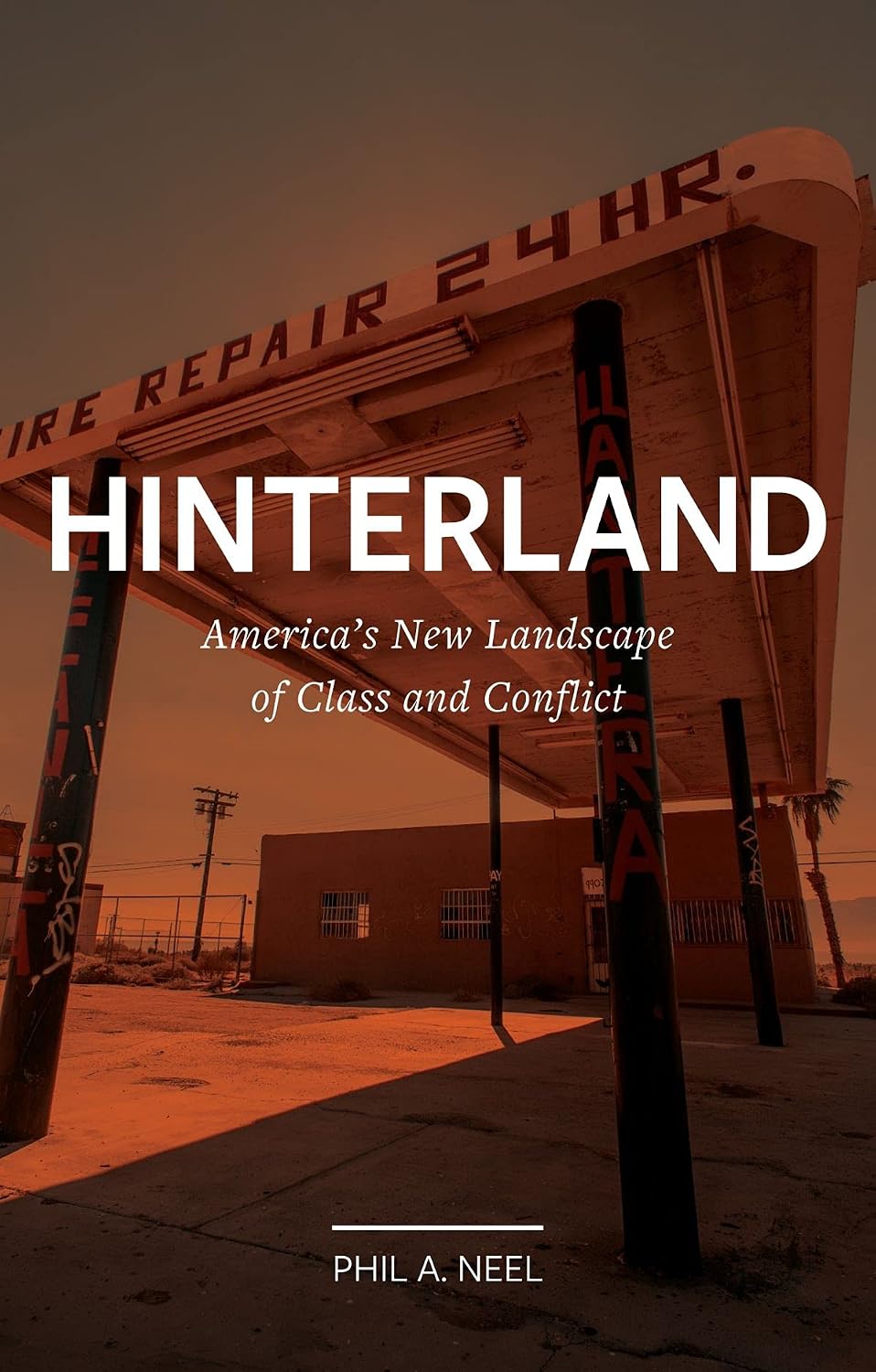 Hinterland: America's New Landscape of Class and Conflict baixar livro de graça