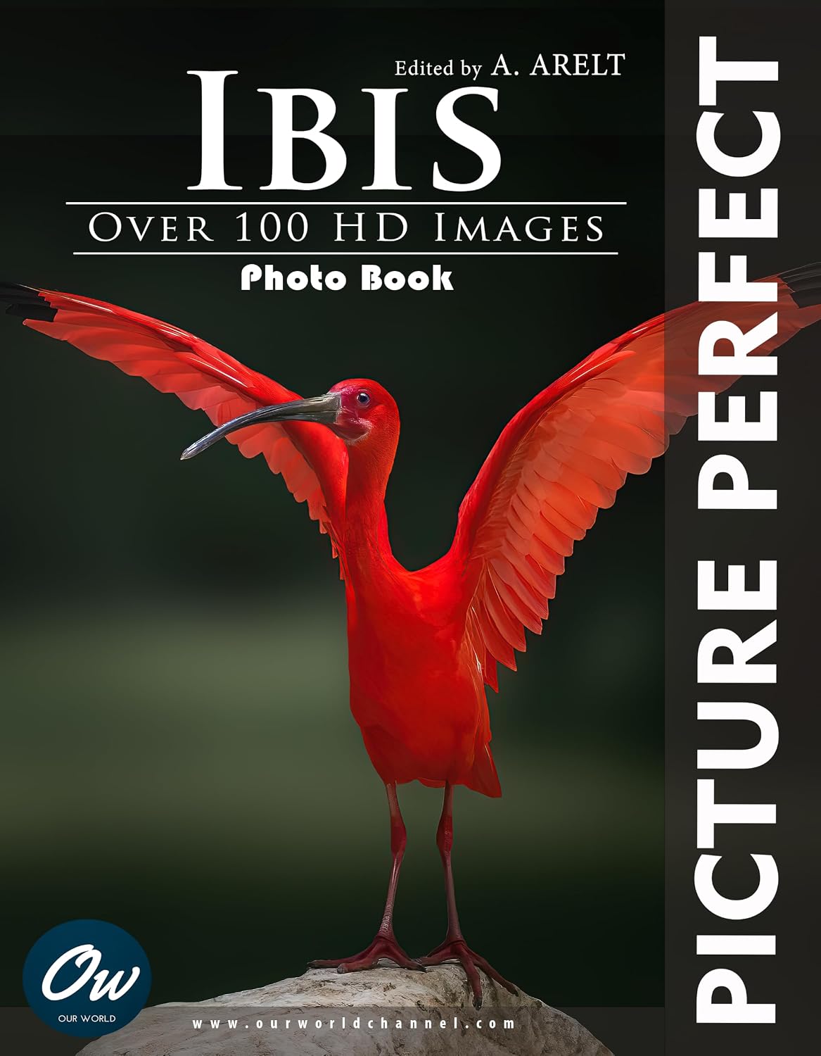 capítulo por capítulo baixar Ibis: Picture Perfect Photo Book: Over 100 HD images (English Edition)