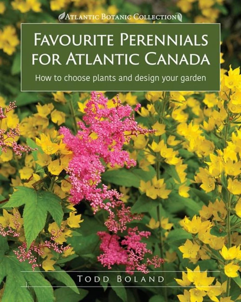 ler totalmente Favourite Perennials for Atlantic Canada: How to Choose Plants and Design Your Garden