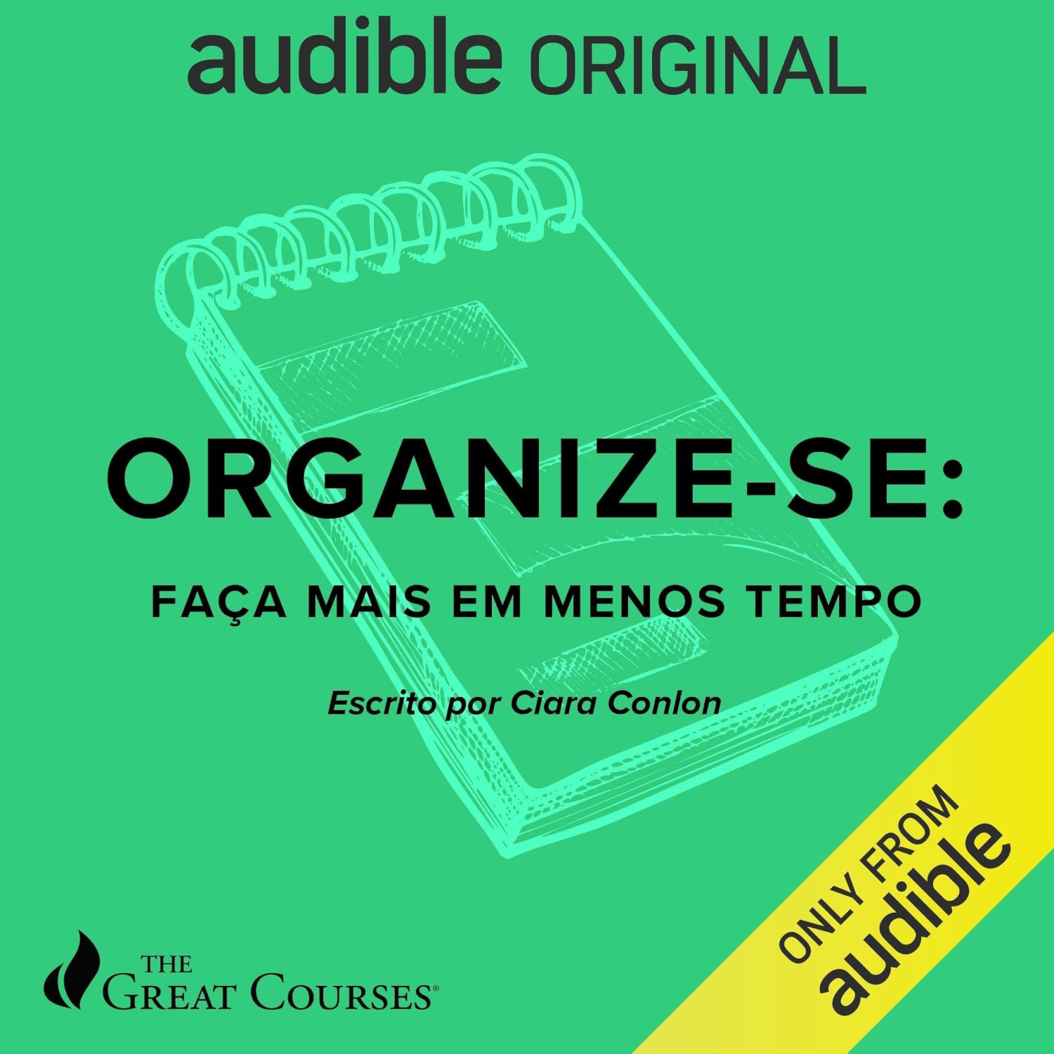 Great Courses: Organize-se: Faça mais em menos tempo baixar livro de graça