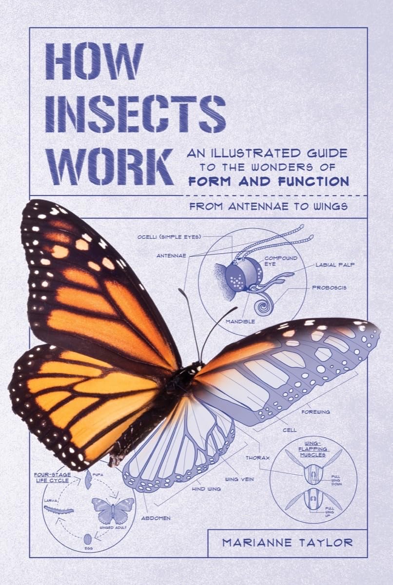 How Insects Work: An Illustrated Guide to the Wonders of Form and Function - From Antennae to Wings: 0