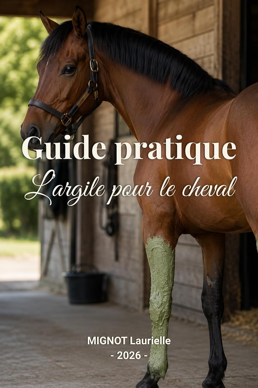capítulo por capítulo baixar Guide pratique - L'argile pour le cheval: Choisir la bonne argile, connaître ses indications et réussir chaque application (French Edition)