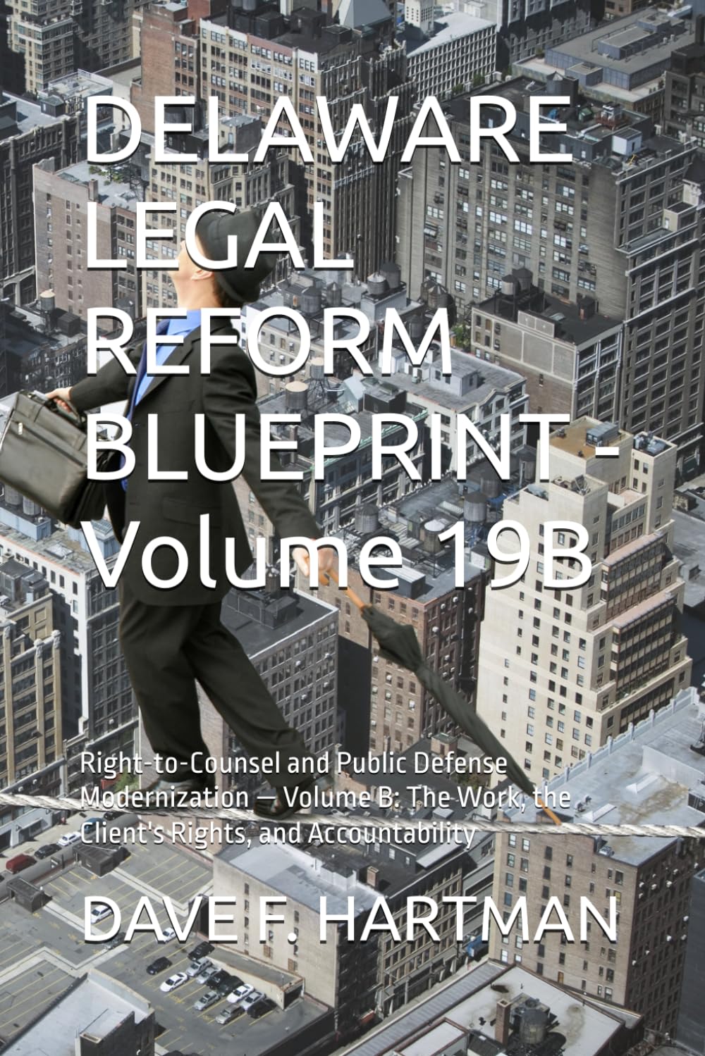 DELAWARE LEGAL REFORM BLUEPRINT - Volume 19B: Right-to-Counsel and Public Defense Modernization — Volume B: The Work, the Client's Rights, and Accountability (Delaware Legal Reform Series) baixar o livro de graça