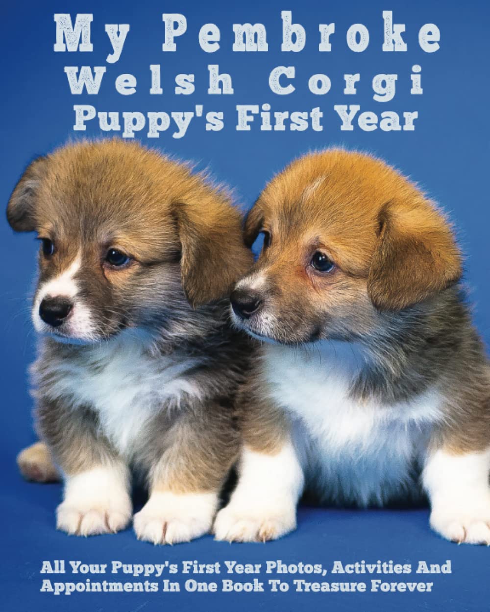 ler totalmente My Pembroke Welsh Corgi Puppy's First Year: Your Dogs Memory Keepsake Journal, includes medication log, training log, growth chart and pampered pup appointments etc.