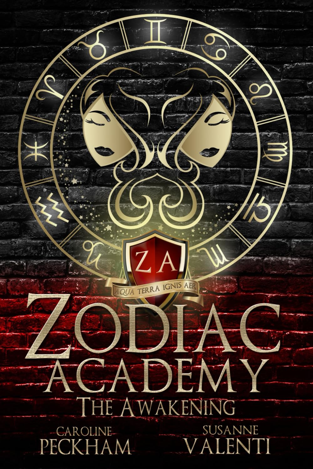 Zodiac Academy: The Awakening: 1 baixar livro de graça