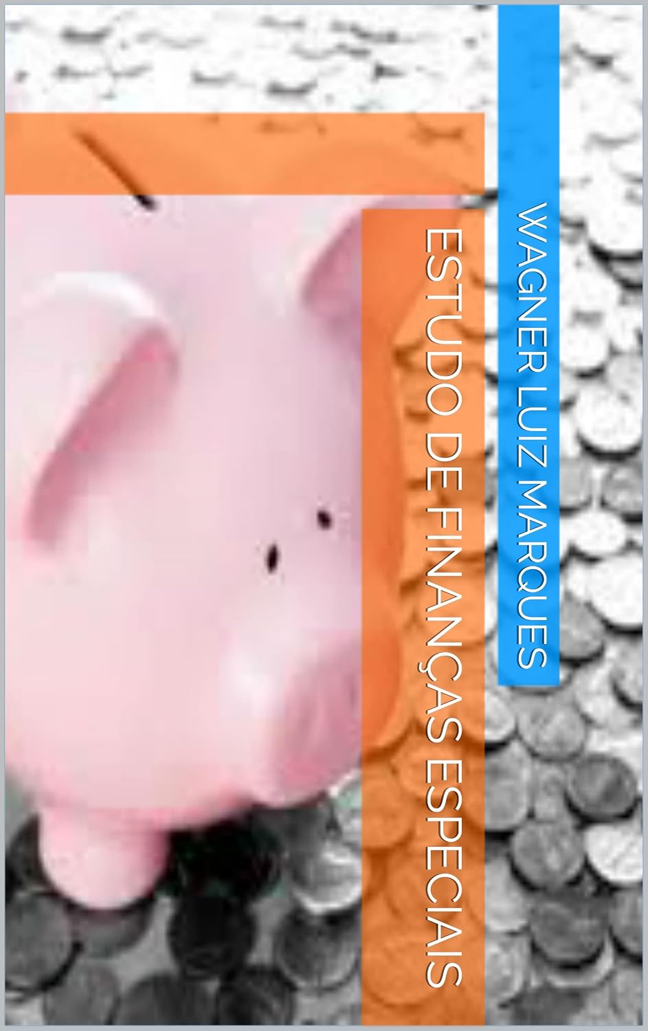 ESTUDO DE FINANÇAS ESPECIAIS baixar o livro de graça