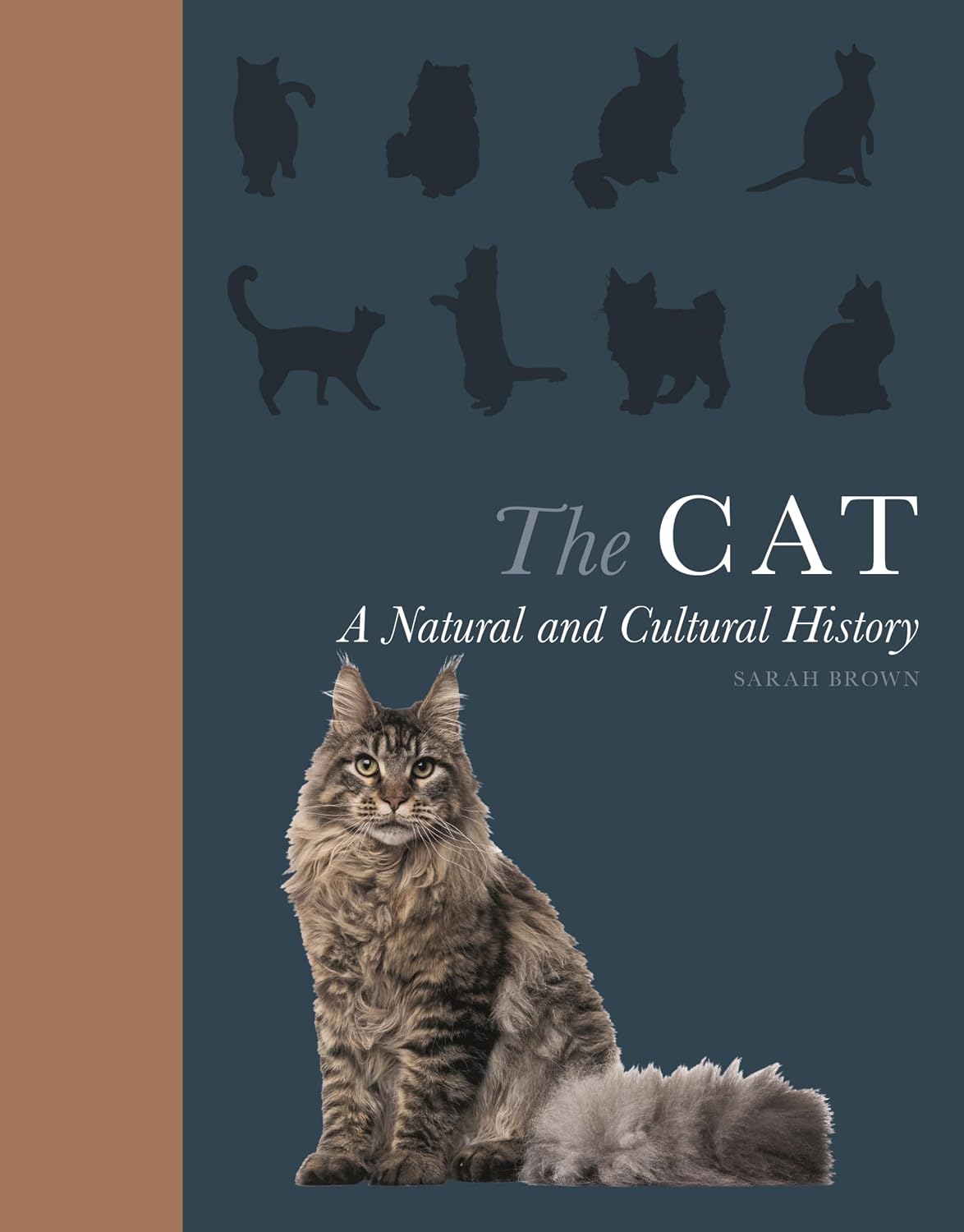The Cat: A Natural and Cultural History baixar livro de graça