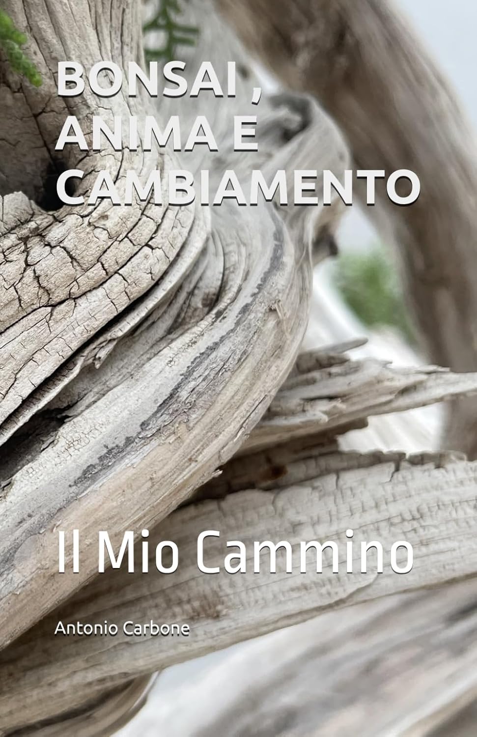 capítulo por capítulo baixar BONSAI, ANIMA E CAMBIAMENTO: Il Mio Cammino (Italian Edition)