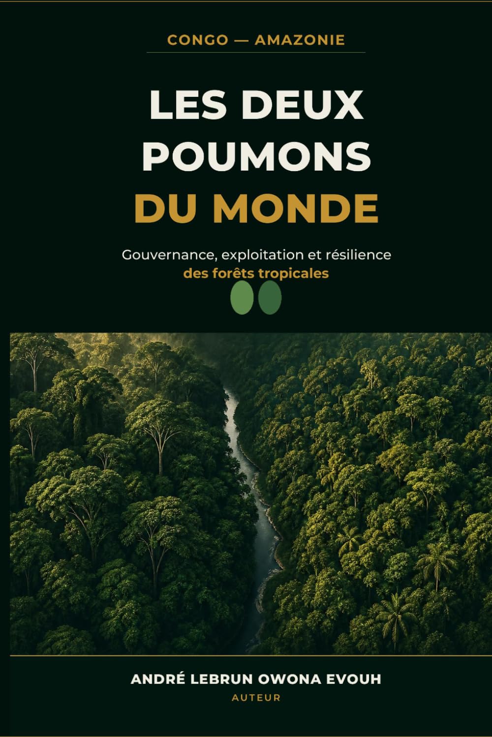 LES DEUX POUMONS DU MONDE: Gouvernance, exploitation et résilience des forêts tropicales. (French Edition) baixar o livro de graça
