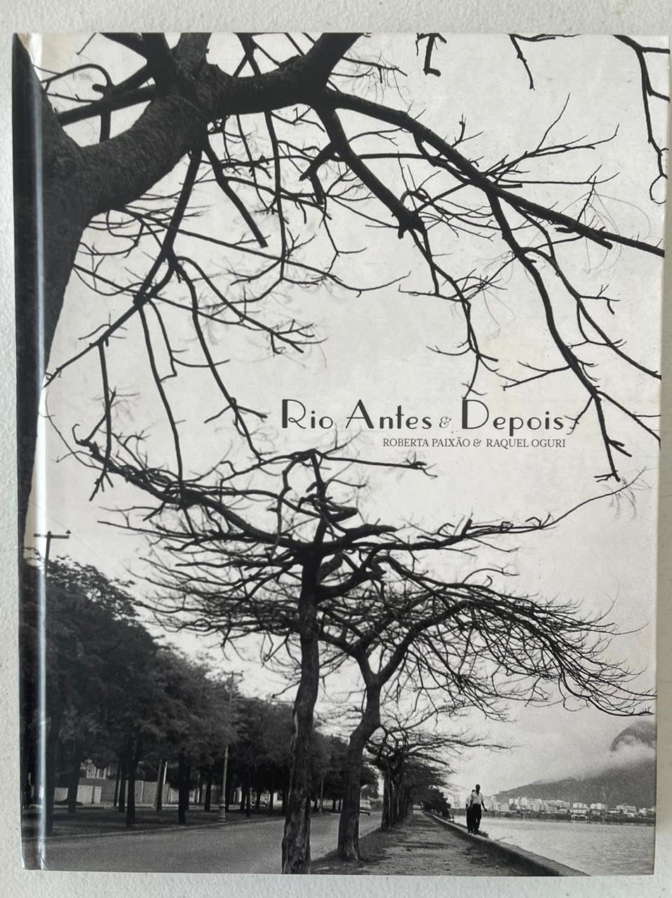 Rio antes e depois baixar o livro de graça