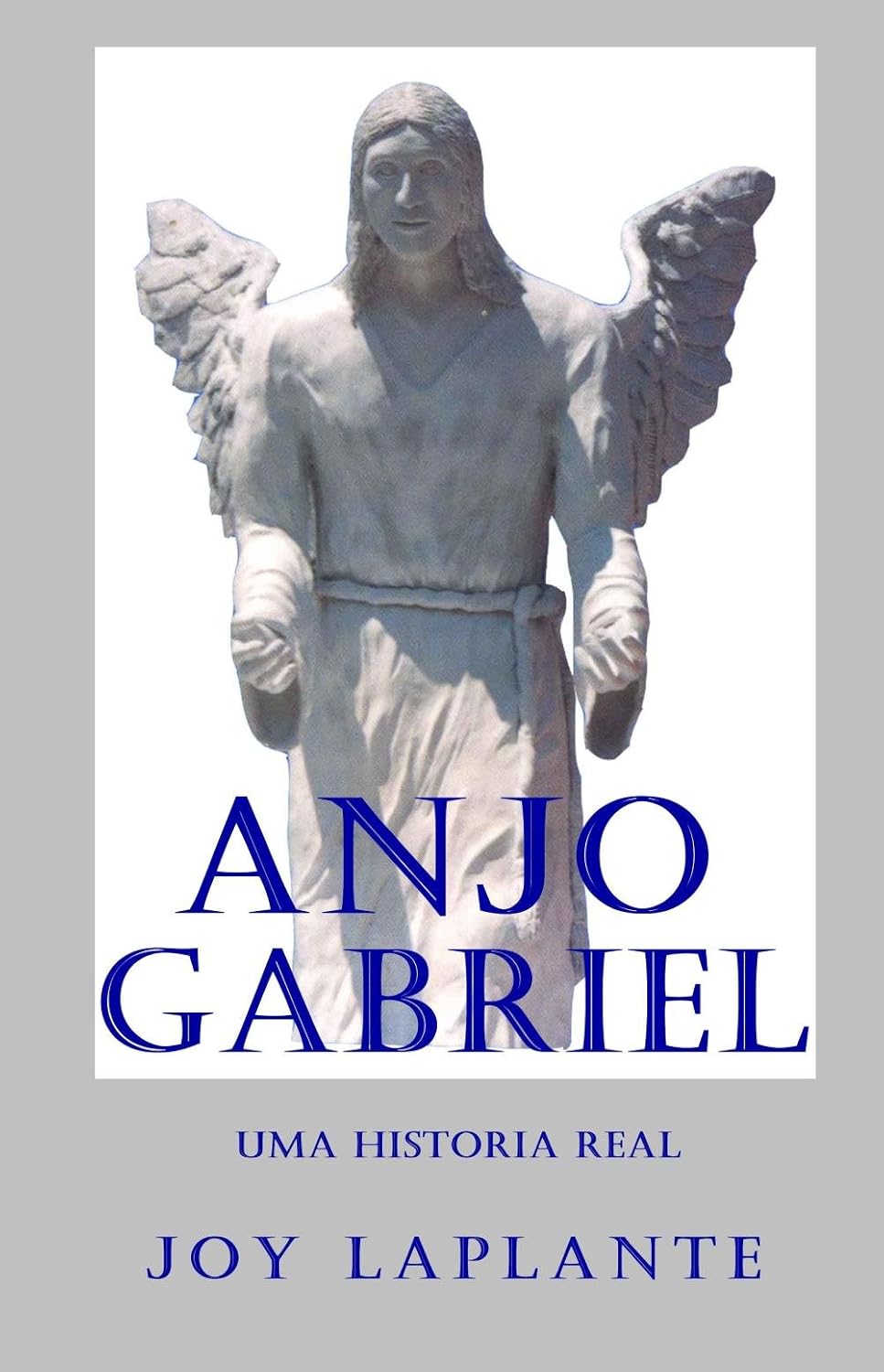ler totalmente Anjo Gabriel - Uma Historia Real (English Edition)