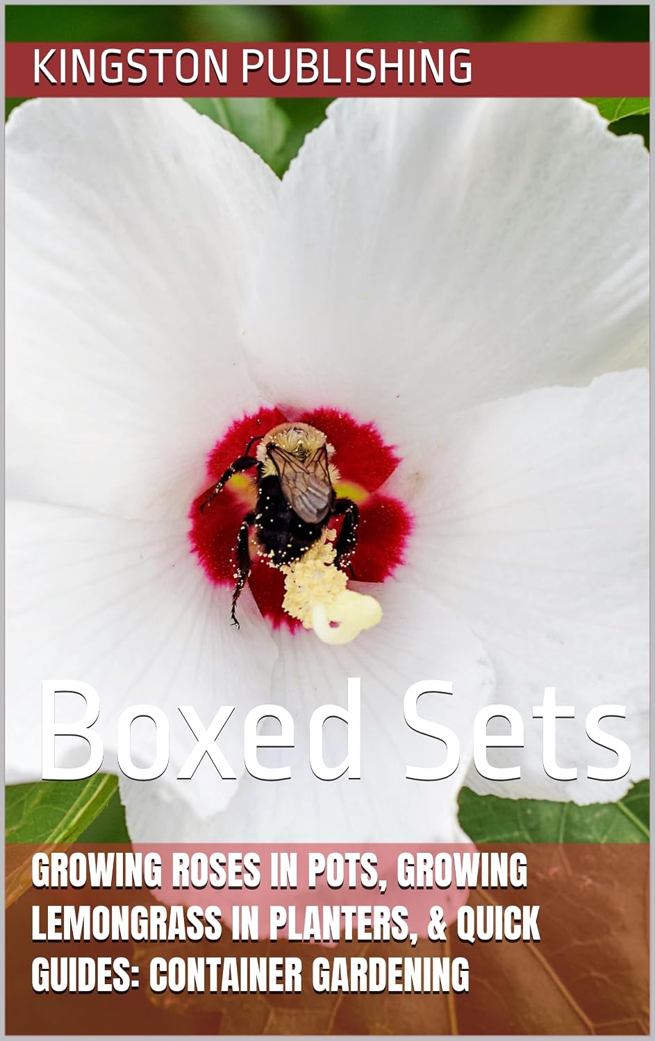 Growing Roses in Pots, Growing Lemongrass in Planters, & Quick Guides: Container Gardening: Boxed Sets (Gardening With Planters) (English Edition) baixar o livro de graça