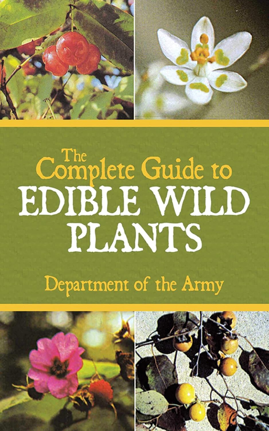 The Complete Guide to Edible Wild Plants baixar o livro de graça