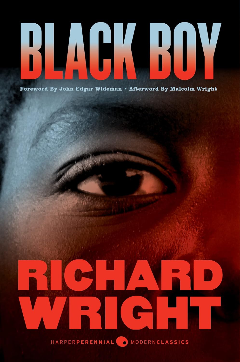 Black Boy: A Record of Childhood and Youth: A searing memoir of poverty, hunger, and defiance in Jim Crow Mississippi―one boy's harrowing journey north to Chicago baixar livro de graça