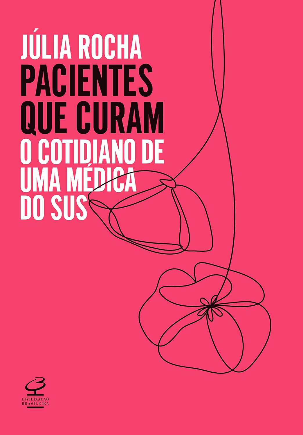 Pacientes que curam: O cotidiano de uma médica do SUS baixar livro de graça